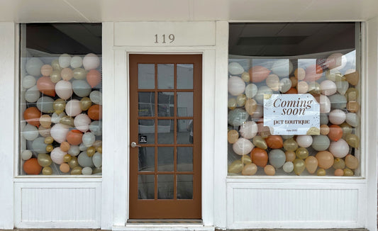 Grand Opening!