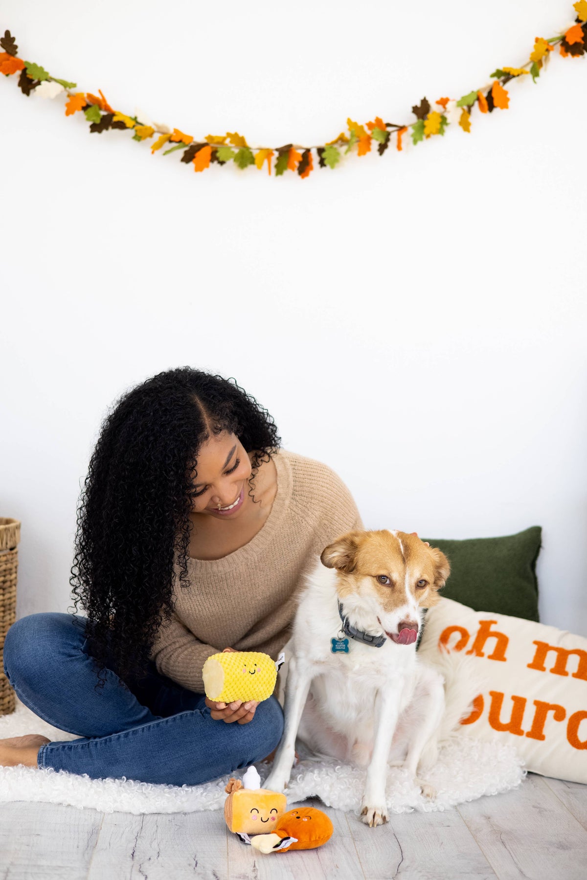 Thanksgiving Dinner Dog Toy Set