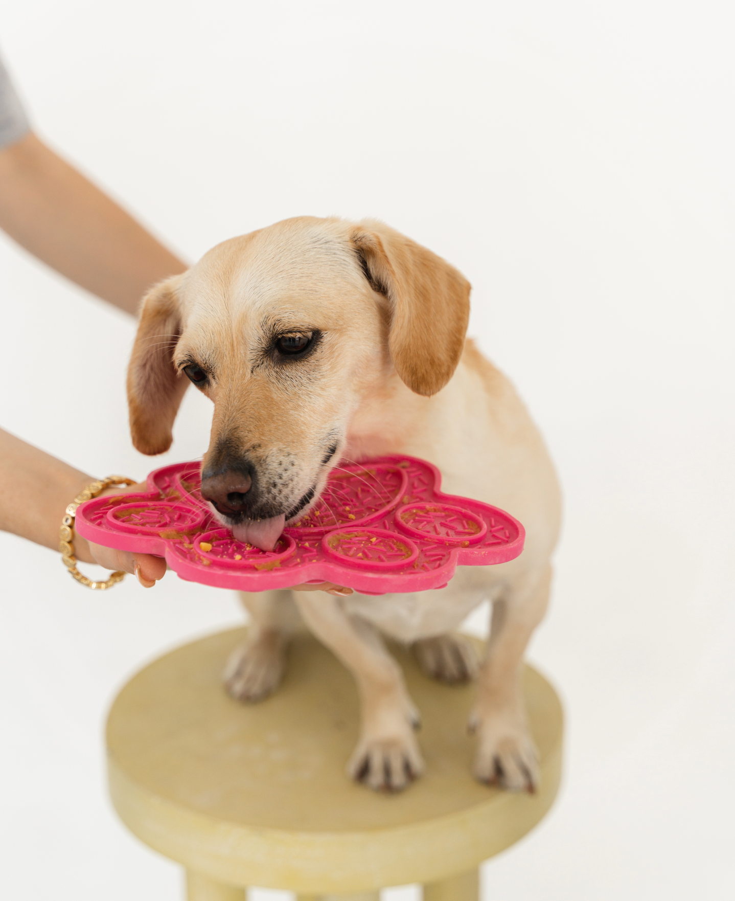 Hot Pink Paw Print Enrichment Lick Mat