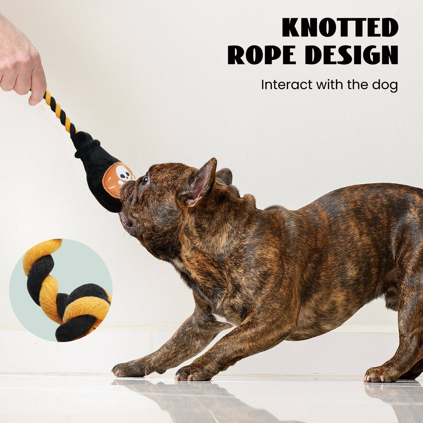 Nocciola 6 PCS Halloween Dog Squeaky Toys for Aggressive chewers