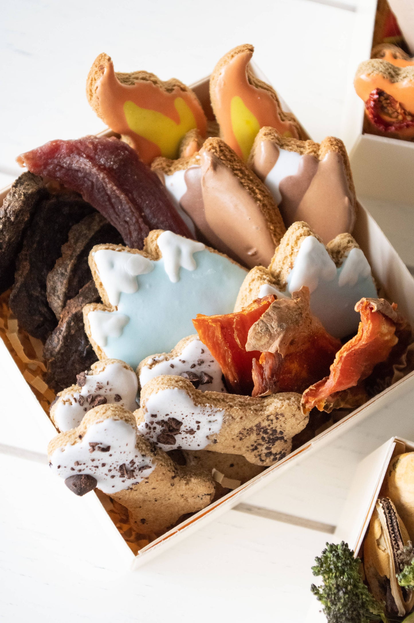 Around the Campfire Barkley Box - Barkuterie Box for Dogs