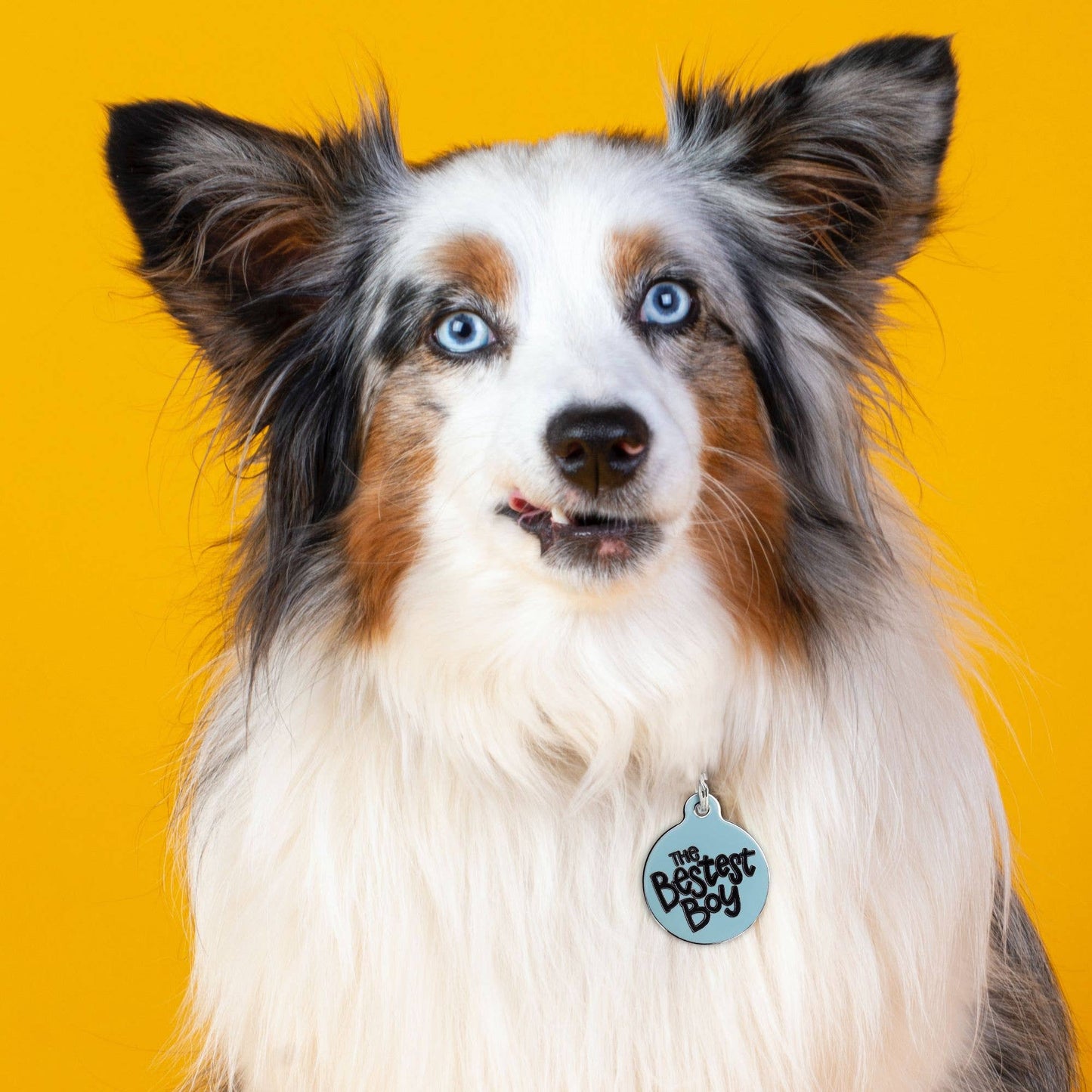Dog Tag Collar Charm - The Bestest Boy - QR Code