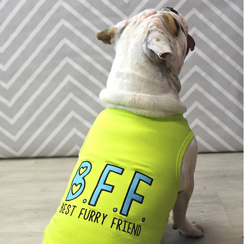 BFF Dog T-Shirt – Best Friends Tee for Dogs
