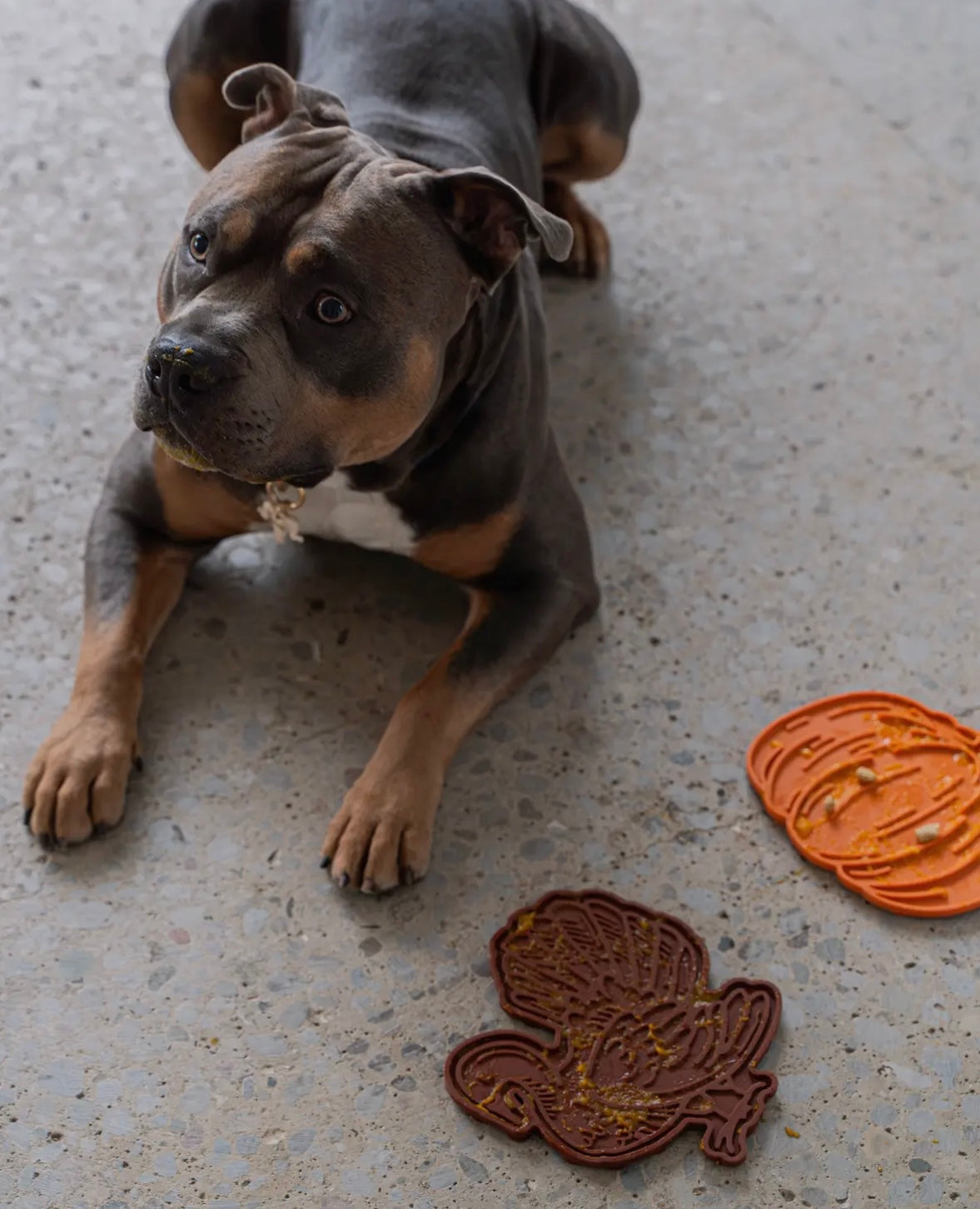 Turkey Enrichment Lick Mat