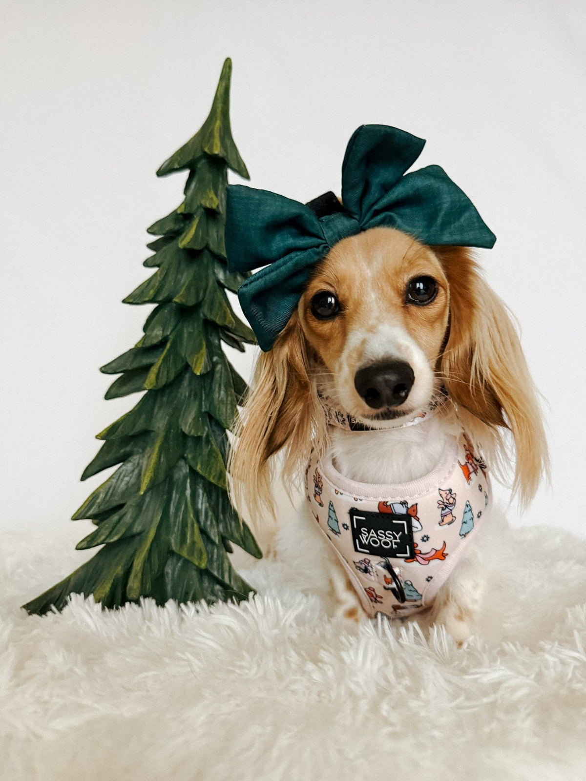 Dog Collar - Weenie Wonderland