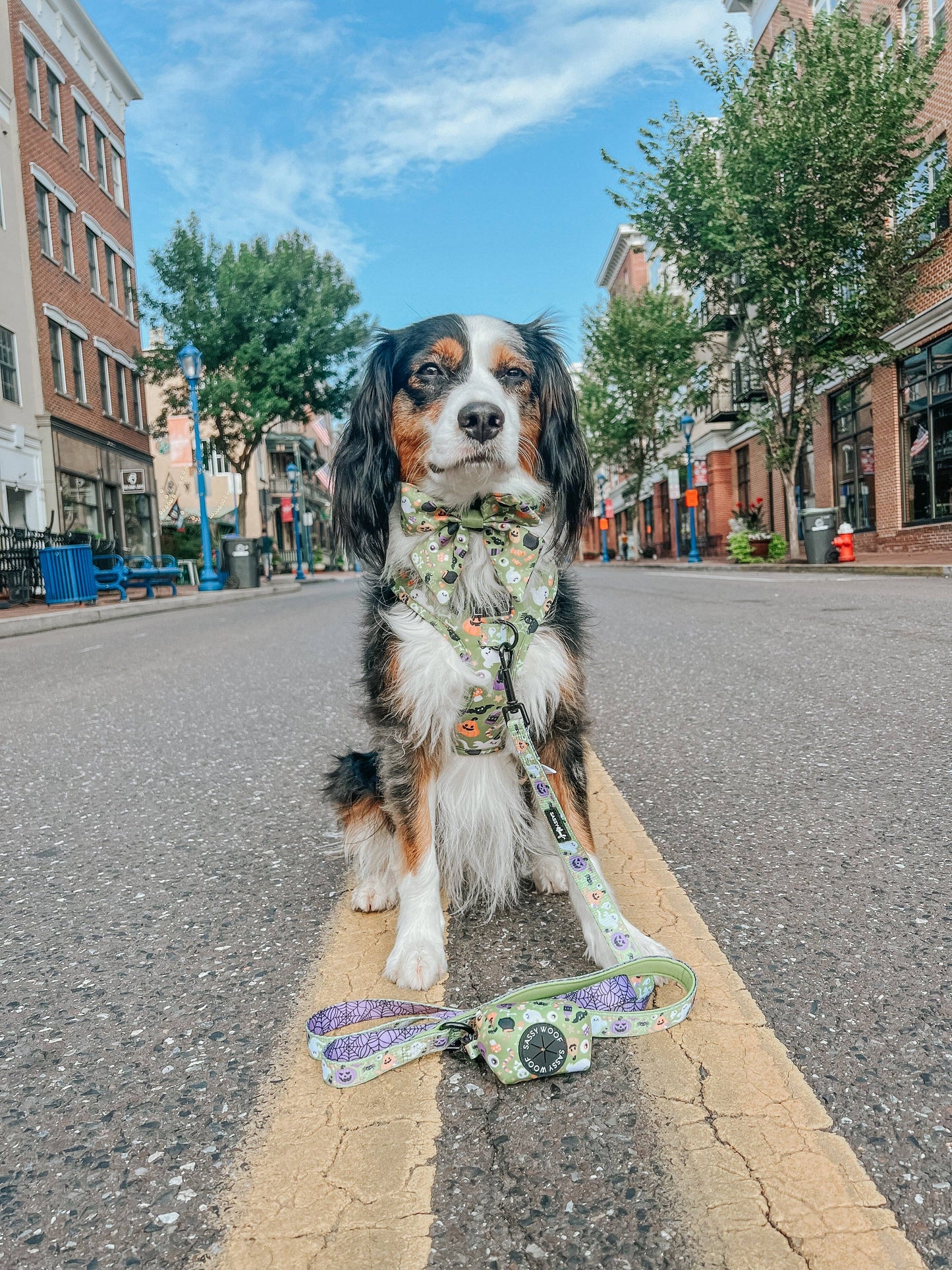 Dog Sailor Bow - Haunt Mess