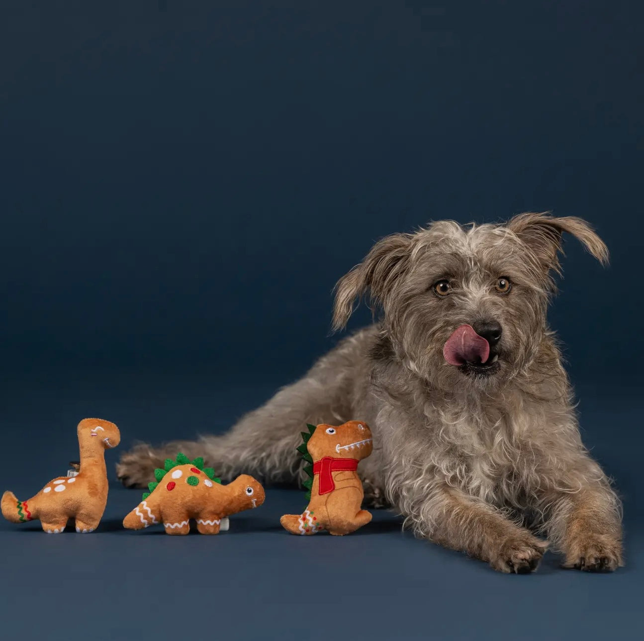 Baking Spirits Bright 3PCS Small Dog Toy Set