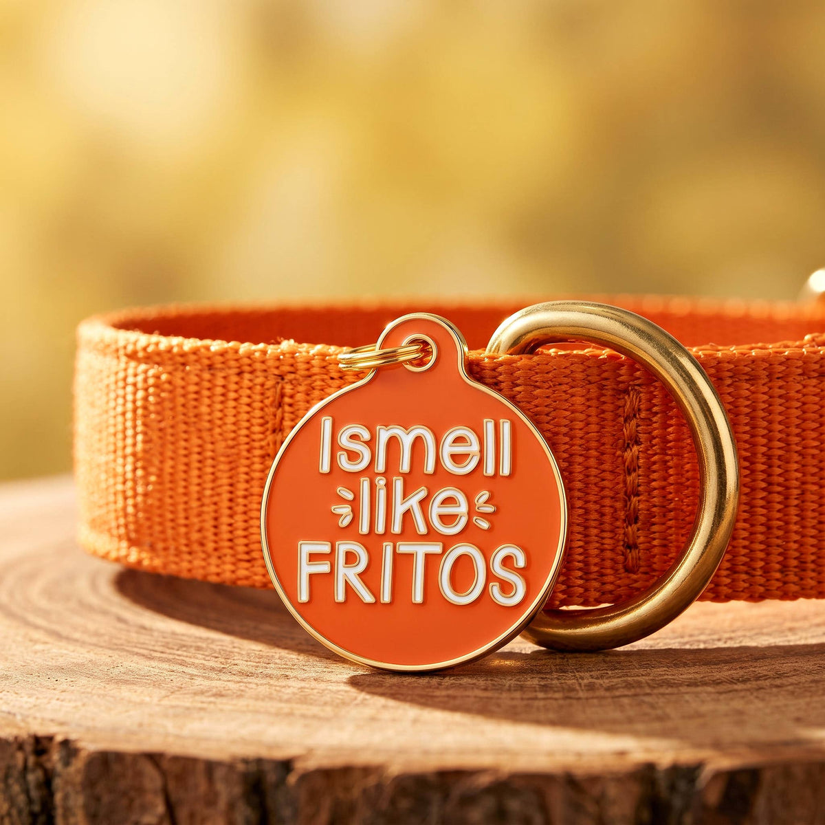 Funny Dog Tag Charm & Pet ID Tag - I Smell Like Fritos