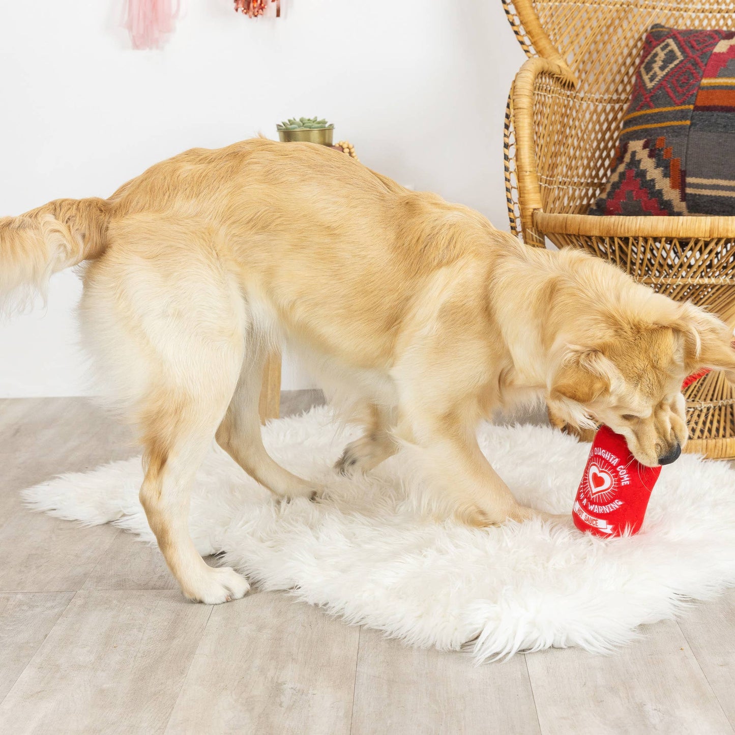 HEARTS ON FIRE Dog Toy