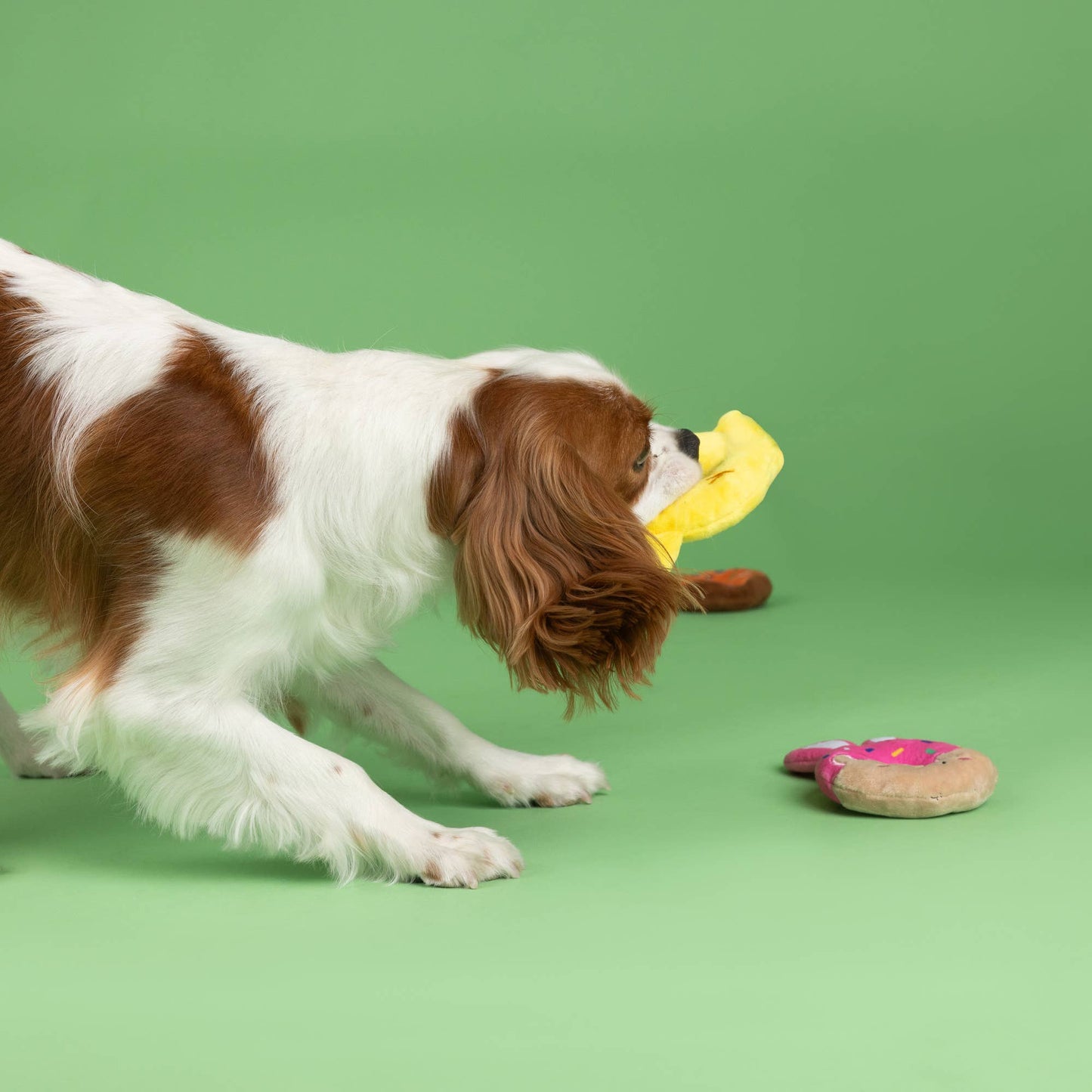 HOLEY DONUTS 3PCS SMALL DOG TOY SET