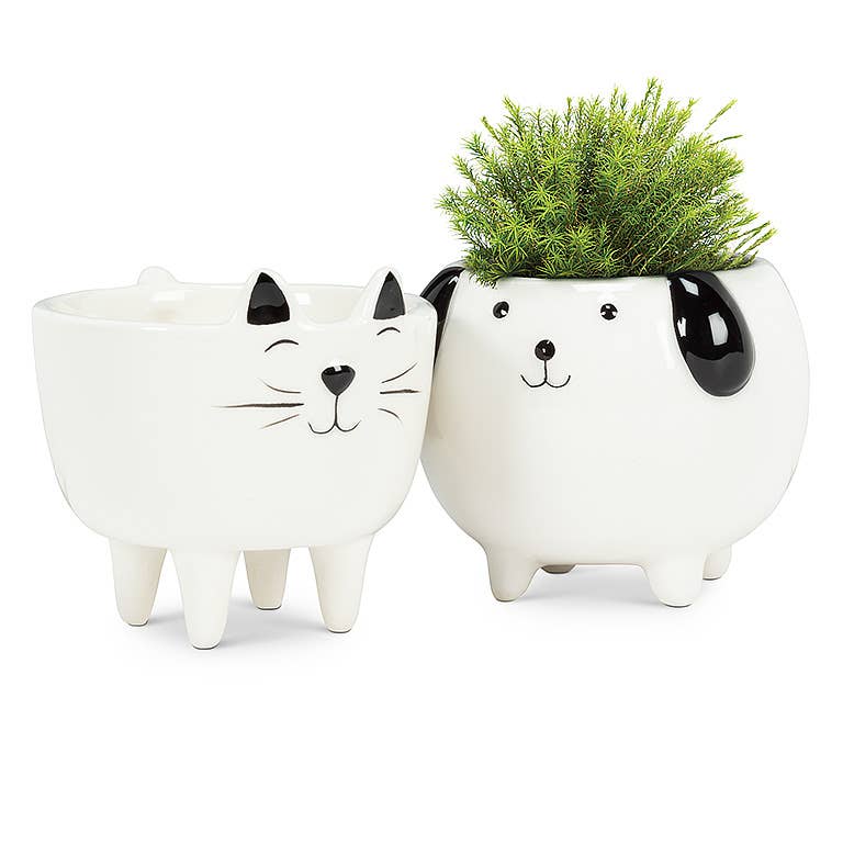 Small Dog on Legs Planter - 3" H