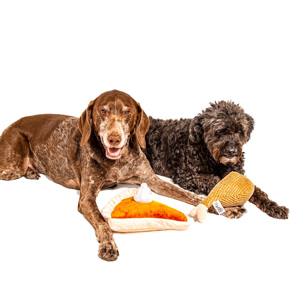 Midlee Thanksgiving Pumpkin Pie and Turkey Leg Plush Dog Toy