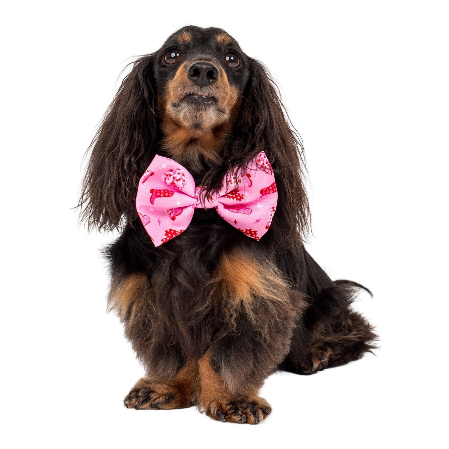 Disco Cowgirl: Dog Bow Tie