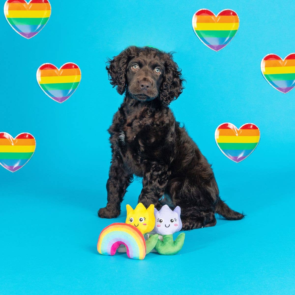 3 Piece Small Dog Toy Set - Love Blooms