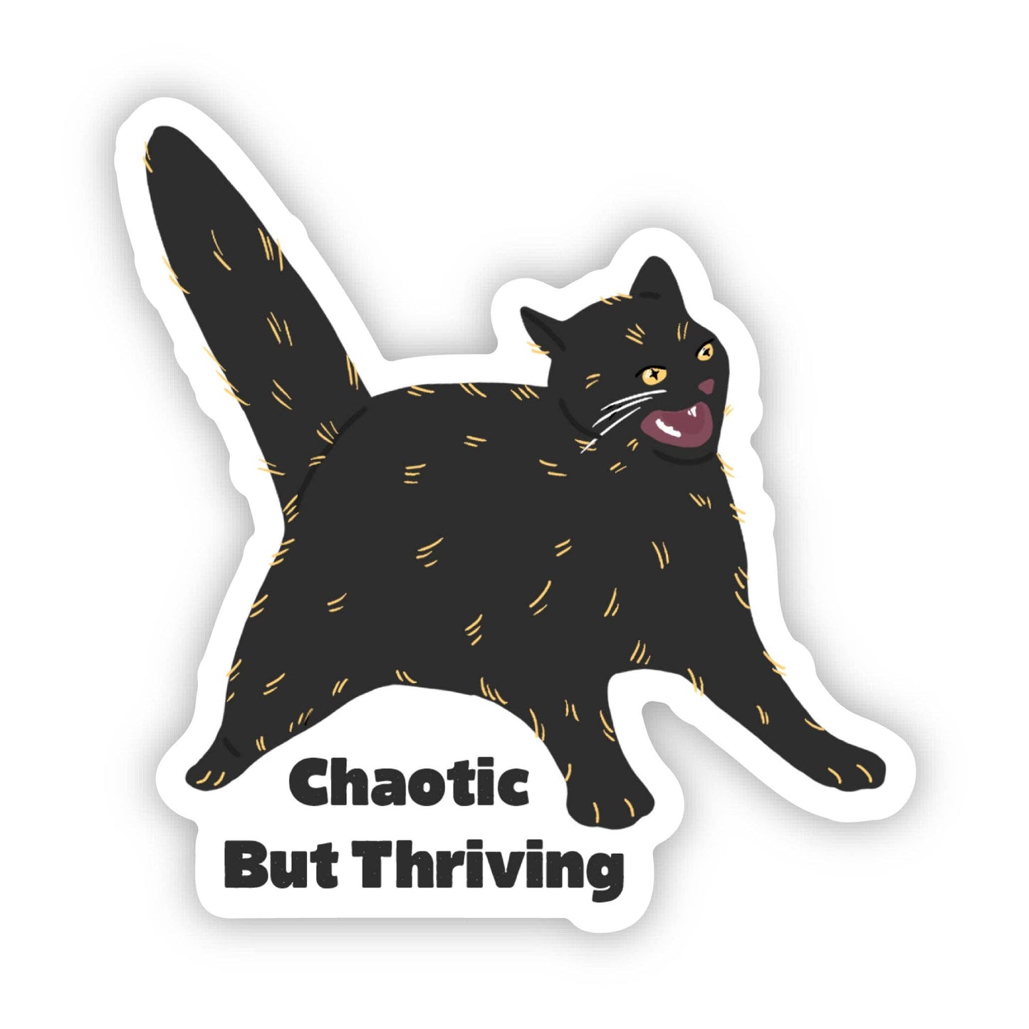 Chaotic But Thriving Cat Sticker