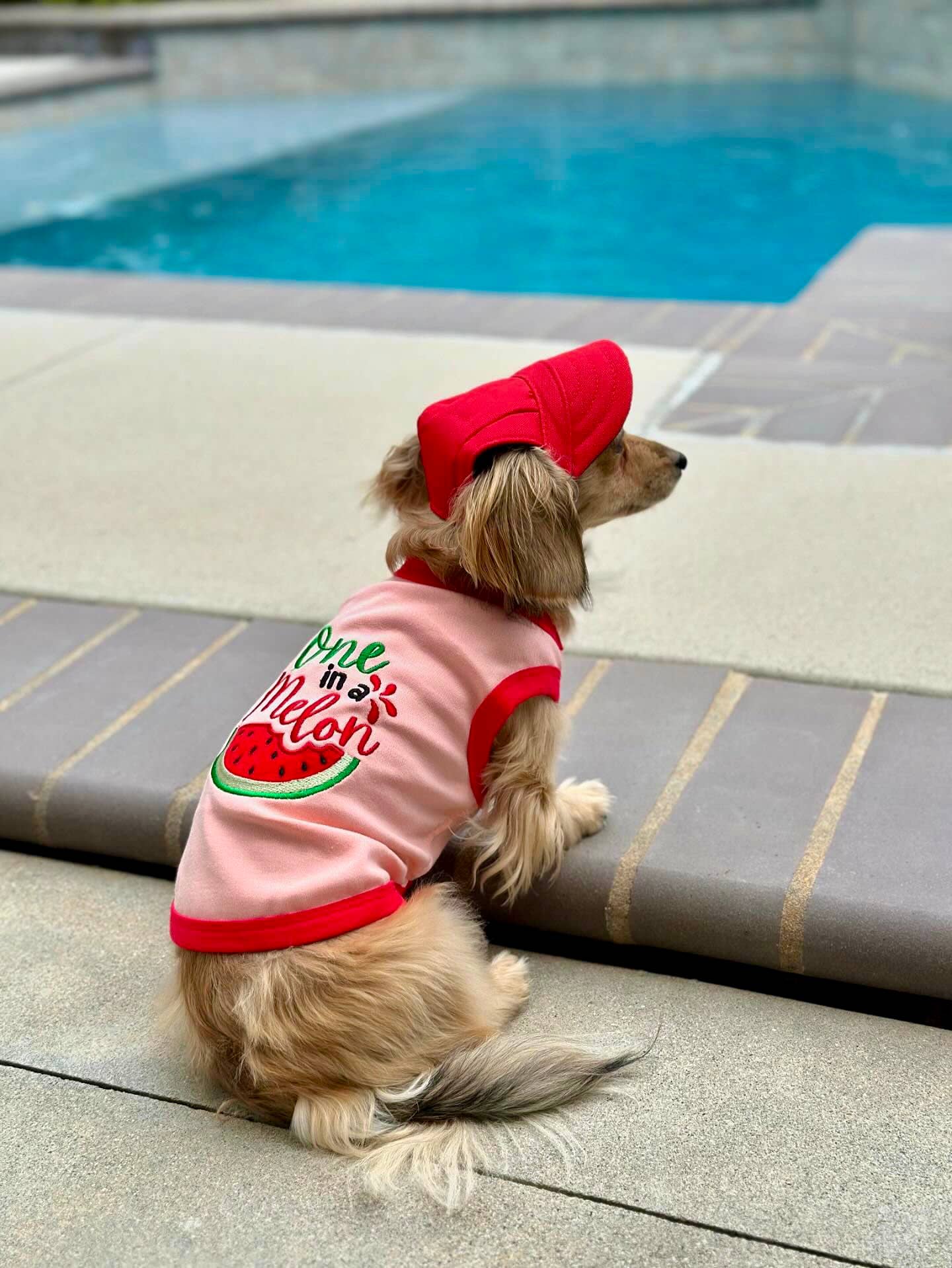 One in a Melon Dog T-Shirt