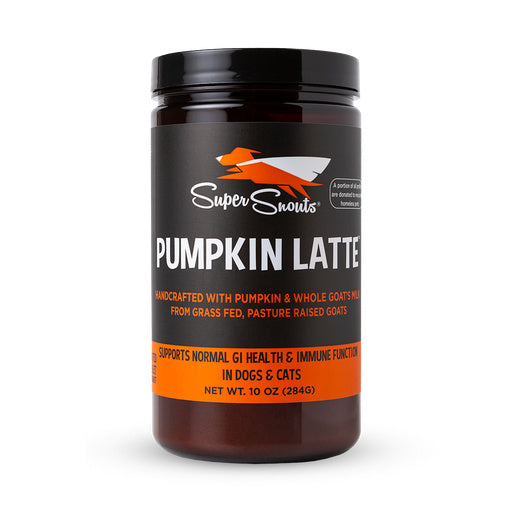 Super Snouts Pumpkin Latte