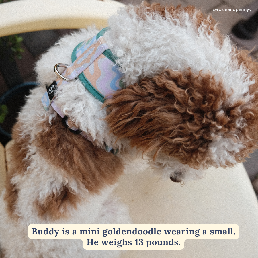 Just Chill Reversible Harness