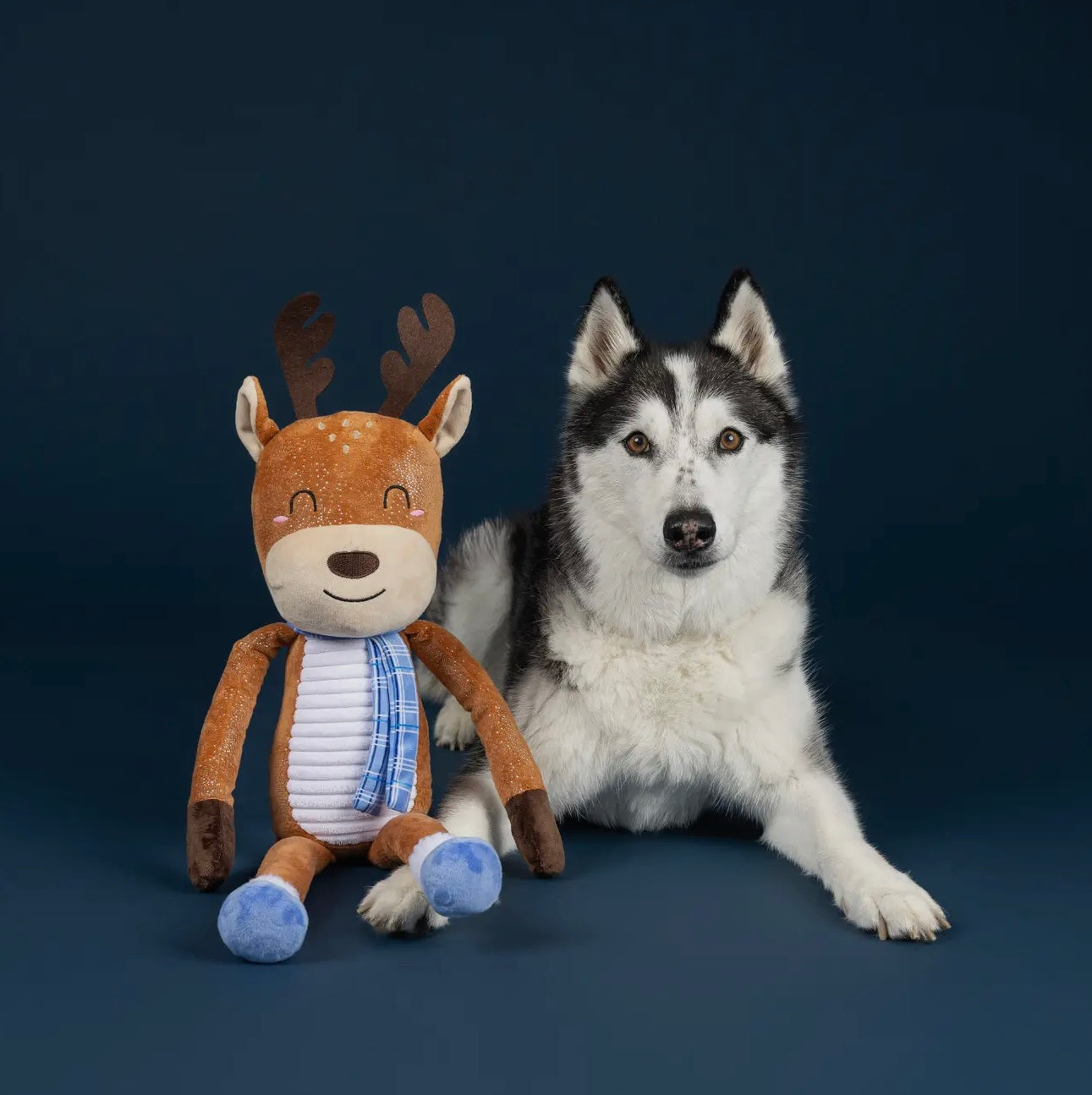 Dashin' Around Large Plush Dog Toy