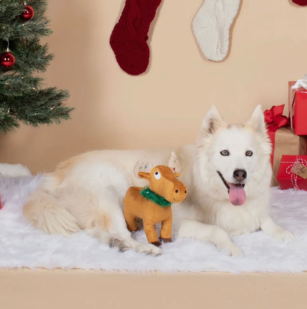 Merry Chrismoose-Plush Dog Toy