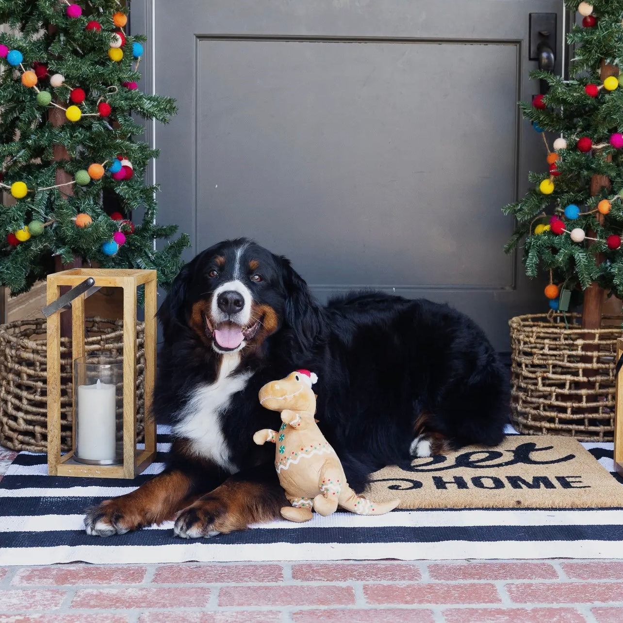 Cookie-Saurus Plush Dog Toy