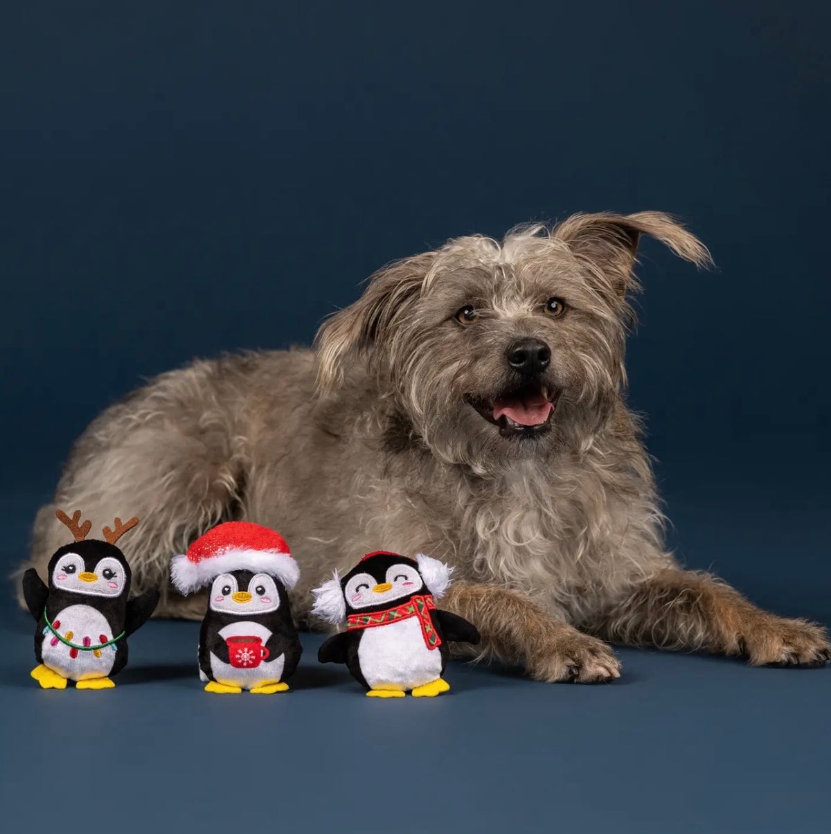 Waddle Squad 3PC Dog Toy Set