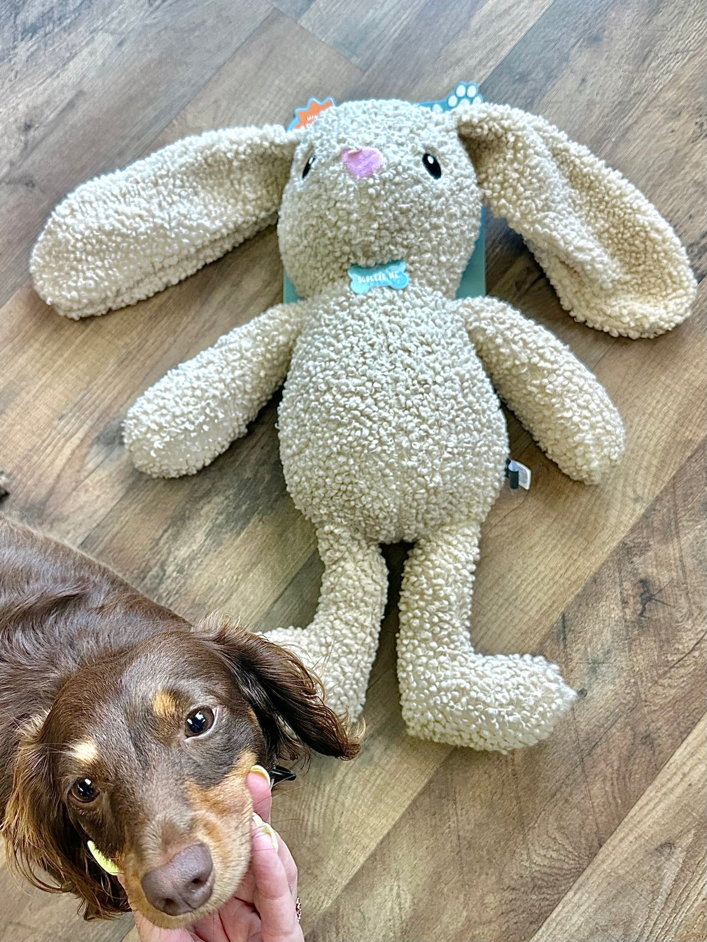 Hoppy To See You Extra Large Plush Dog Toy