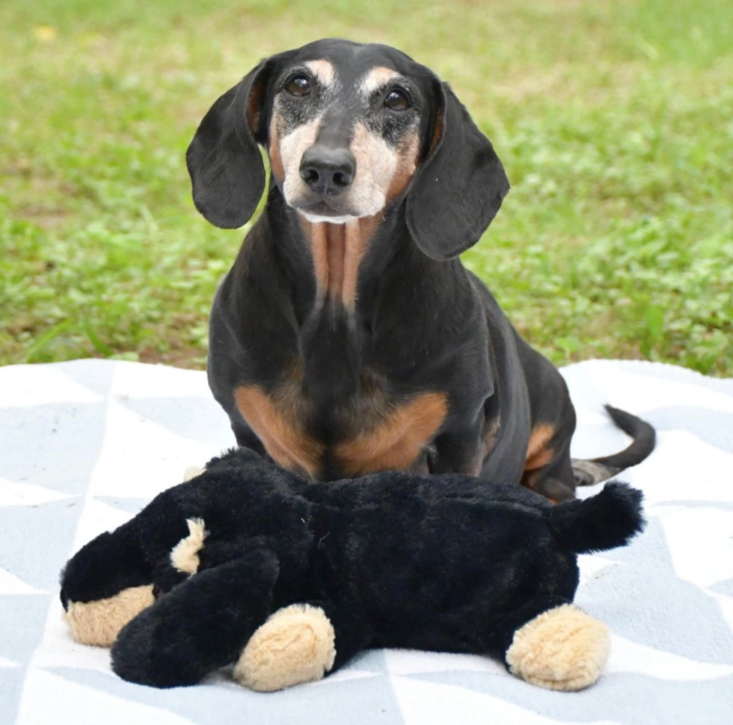 The Weens - Sleeping Booties Dog Toy