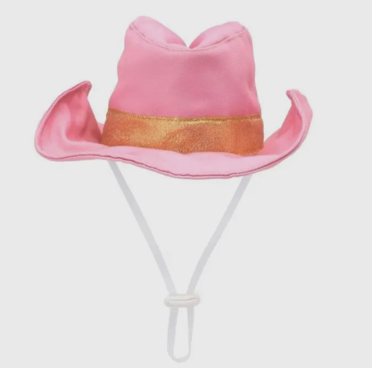 Cowboy & Cowgirl Pet Hat