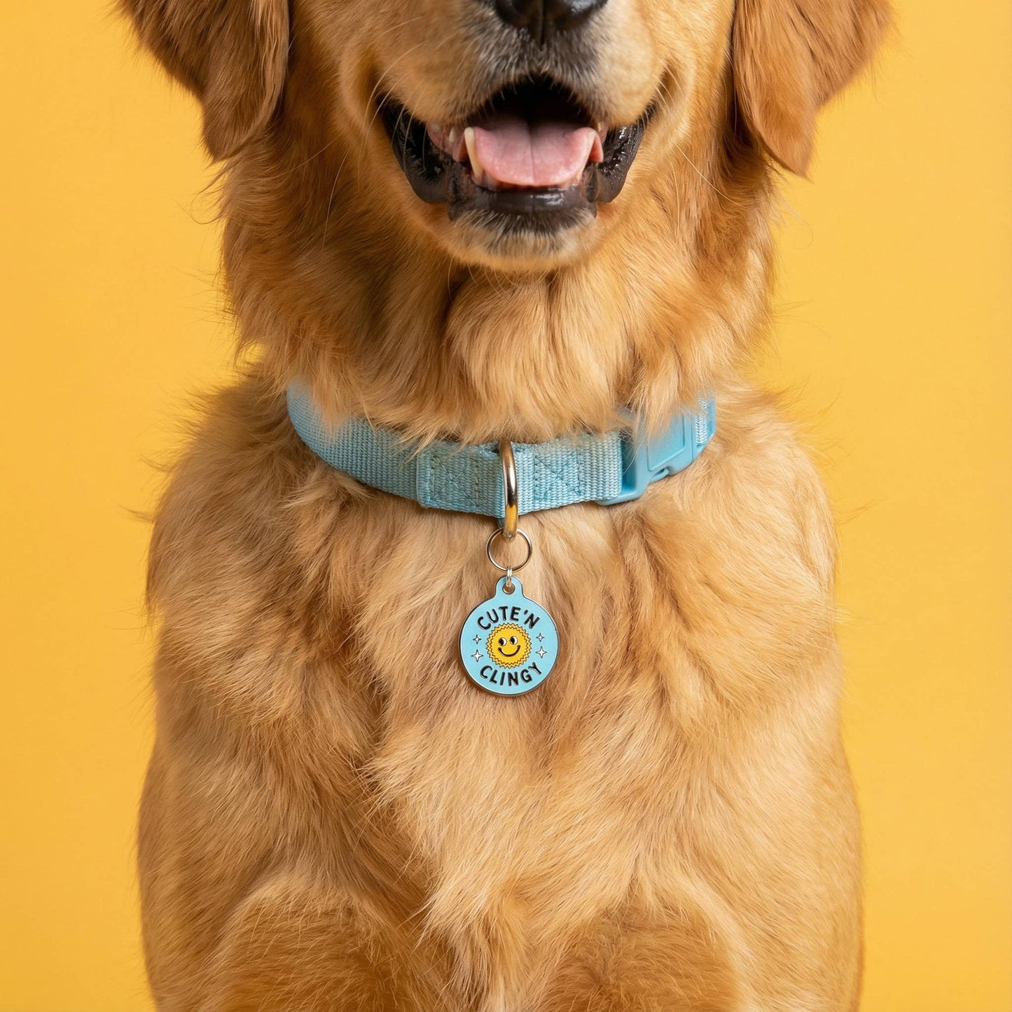 Dog ID Tag w/QR Code - Cute N Clingy Blue