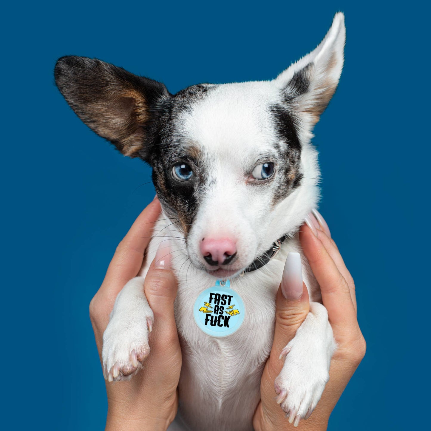 Dog Tag Collar Charm - Fast As F*** - QR Code