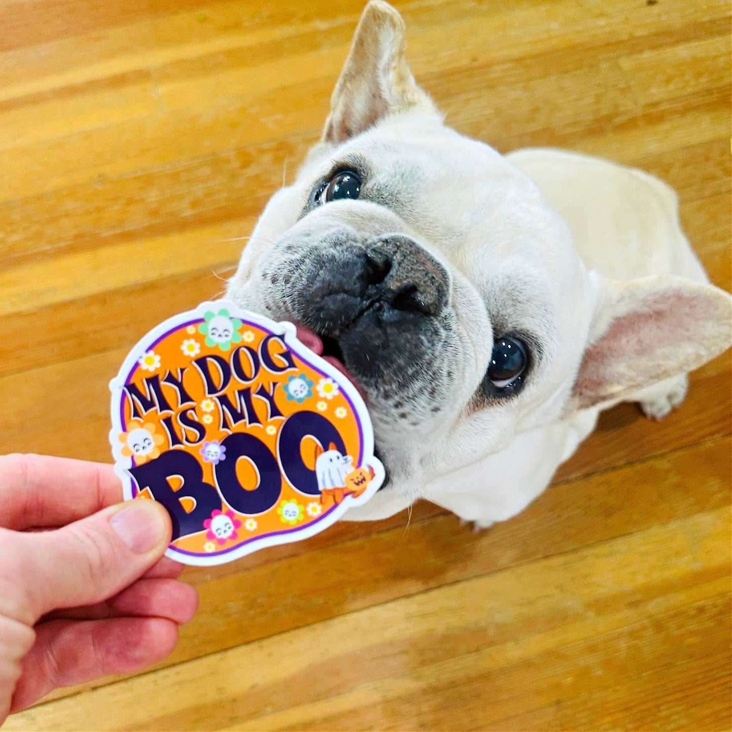 Halloween Sticker - My Dog is my Boo