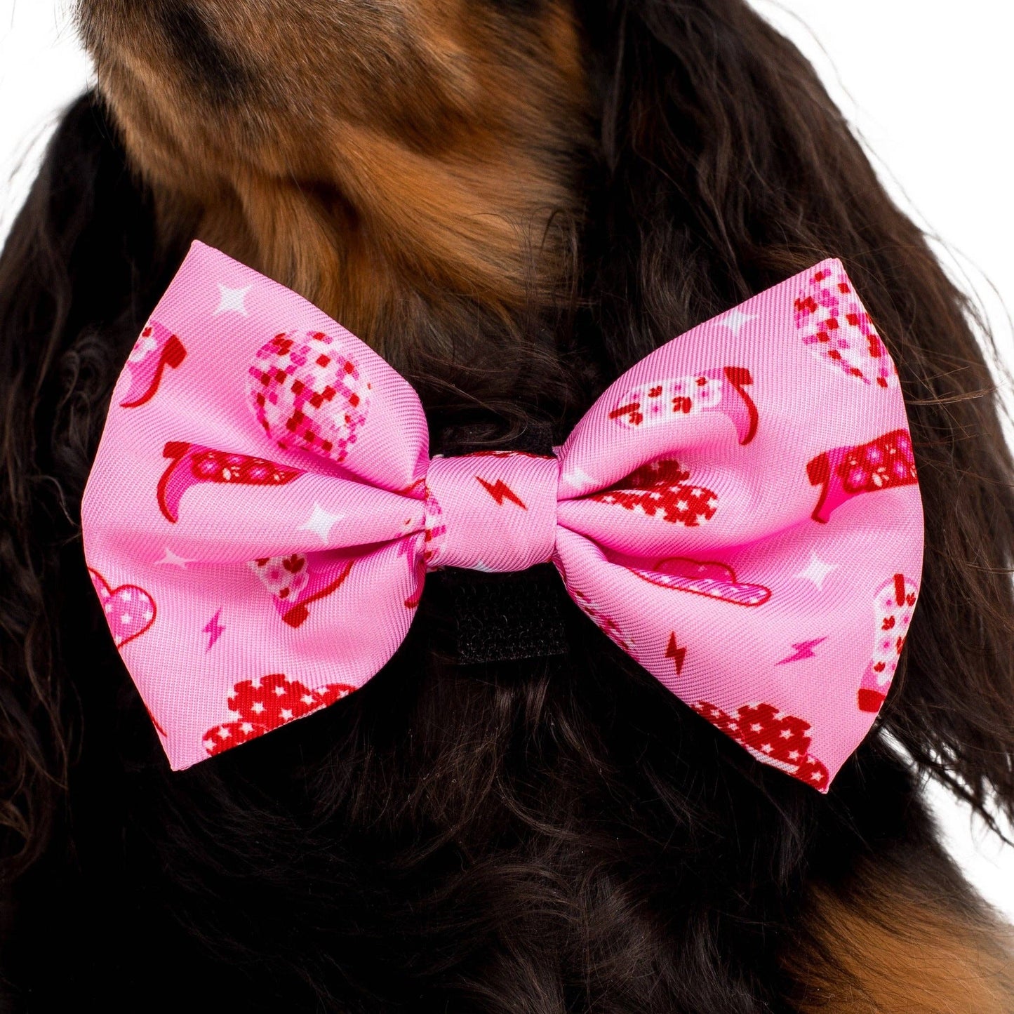 Disco Cowgirl: Dog Bow Tie