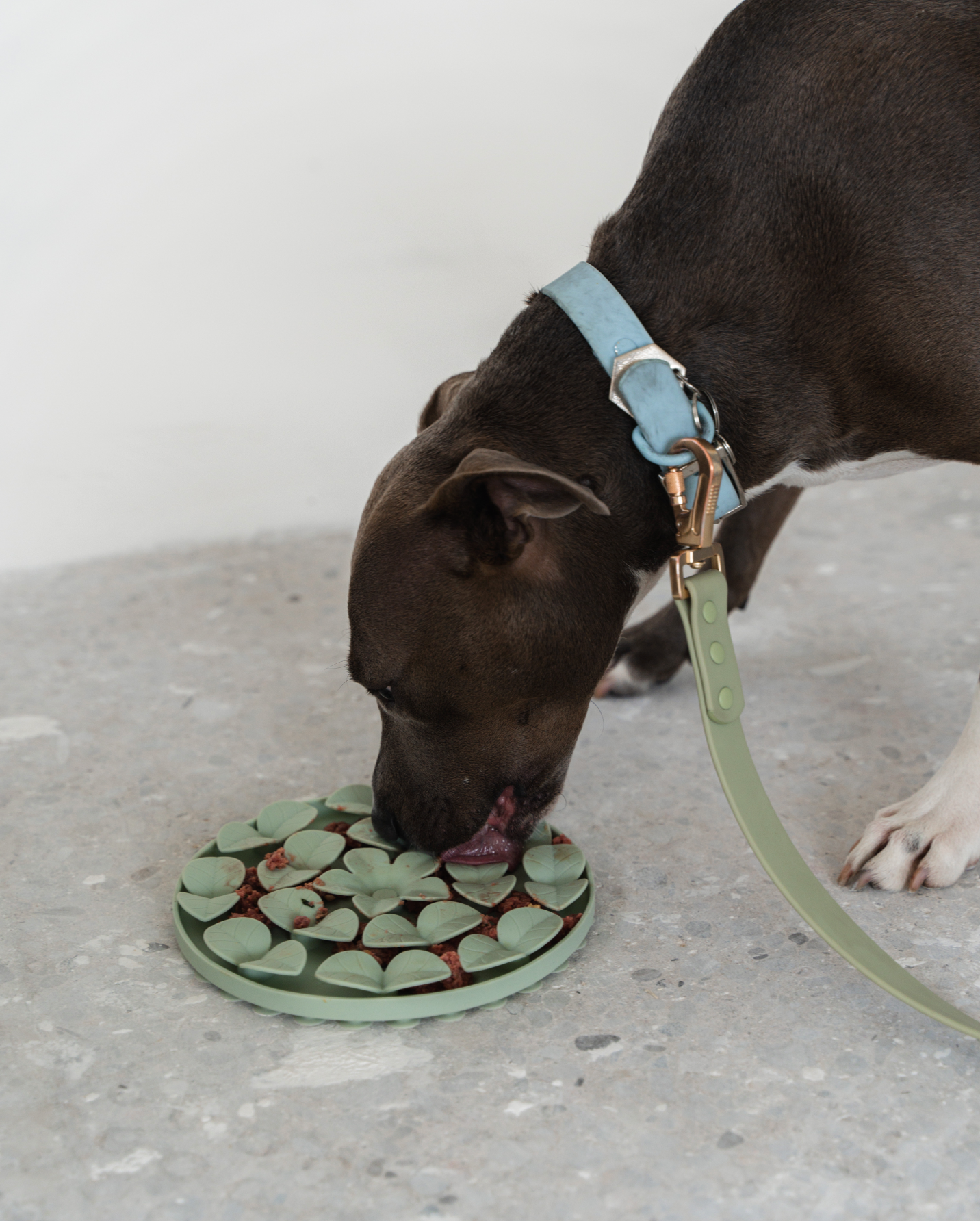 Sage Green Circle Enrichment Snuffle Mat