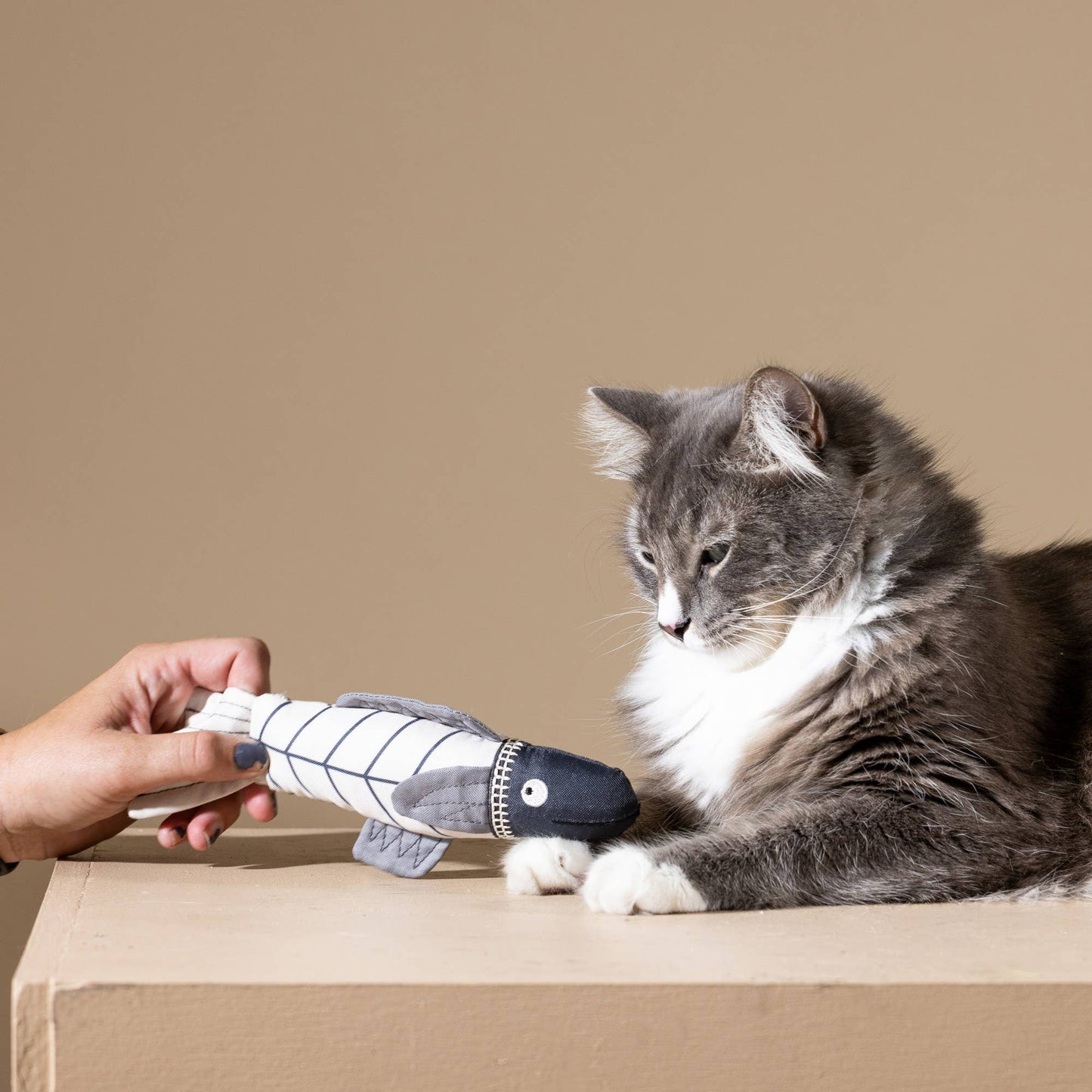 CANVAS KICKER CAT TOY SOMETHING'S FISHY