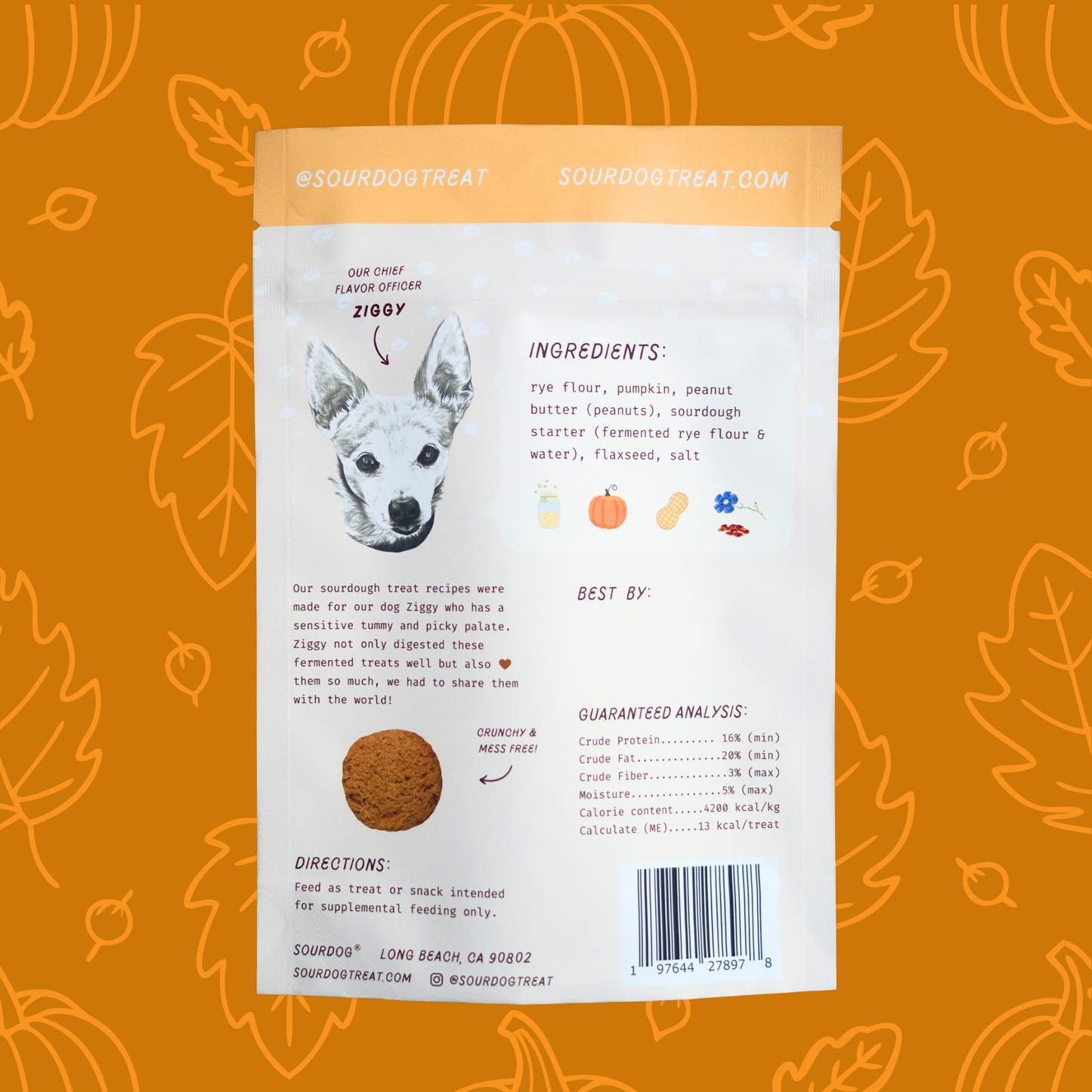 Pup-kin Pie - Pumpkin Sourdough Dog Treats