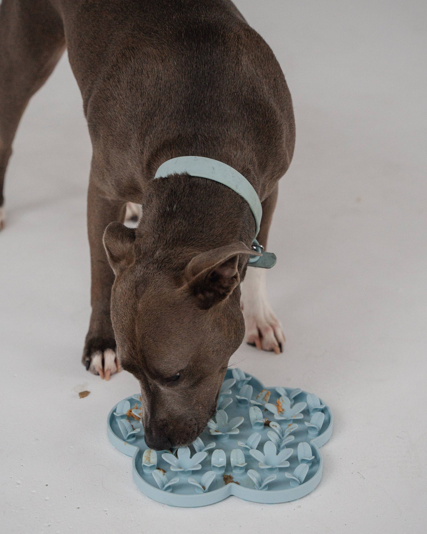 Blue Flower Enrichment Snuffle Mat