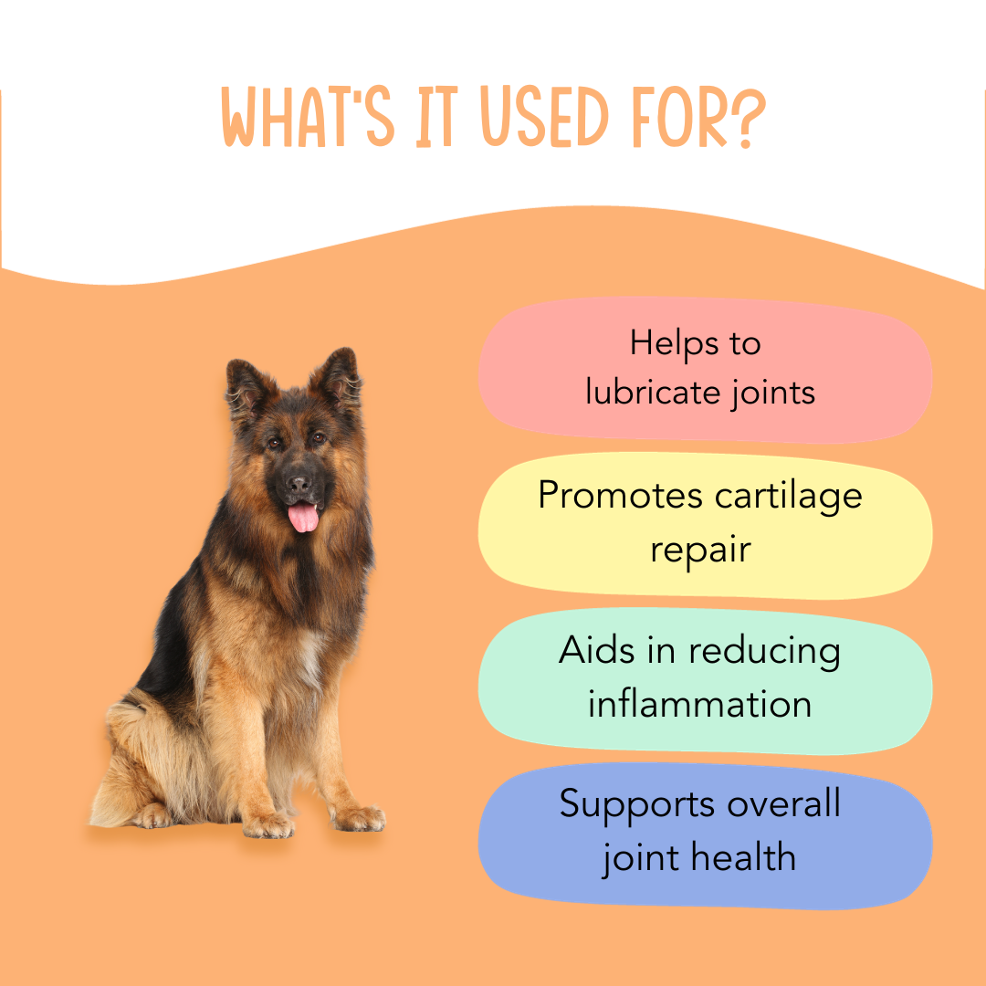 Hips Don't Lie - Hip & Joint Supplement for Dogs - 120 Chew