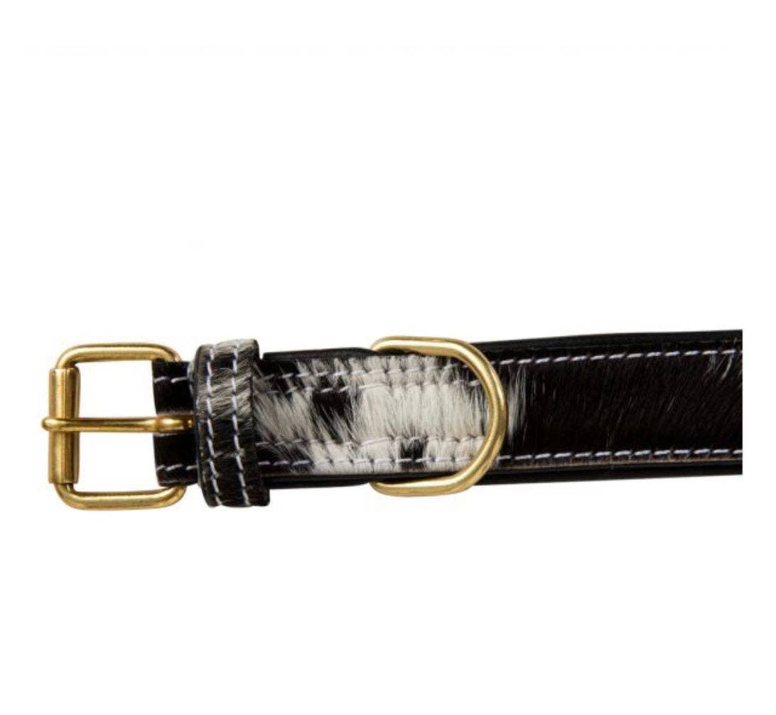 Cowhide and Leather Western Dog Collar