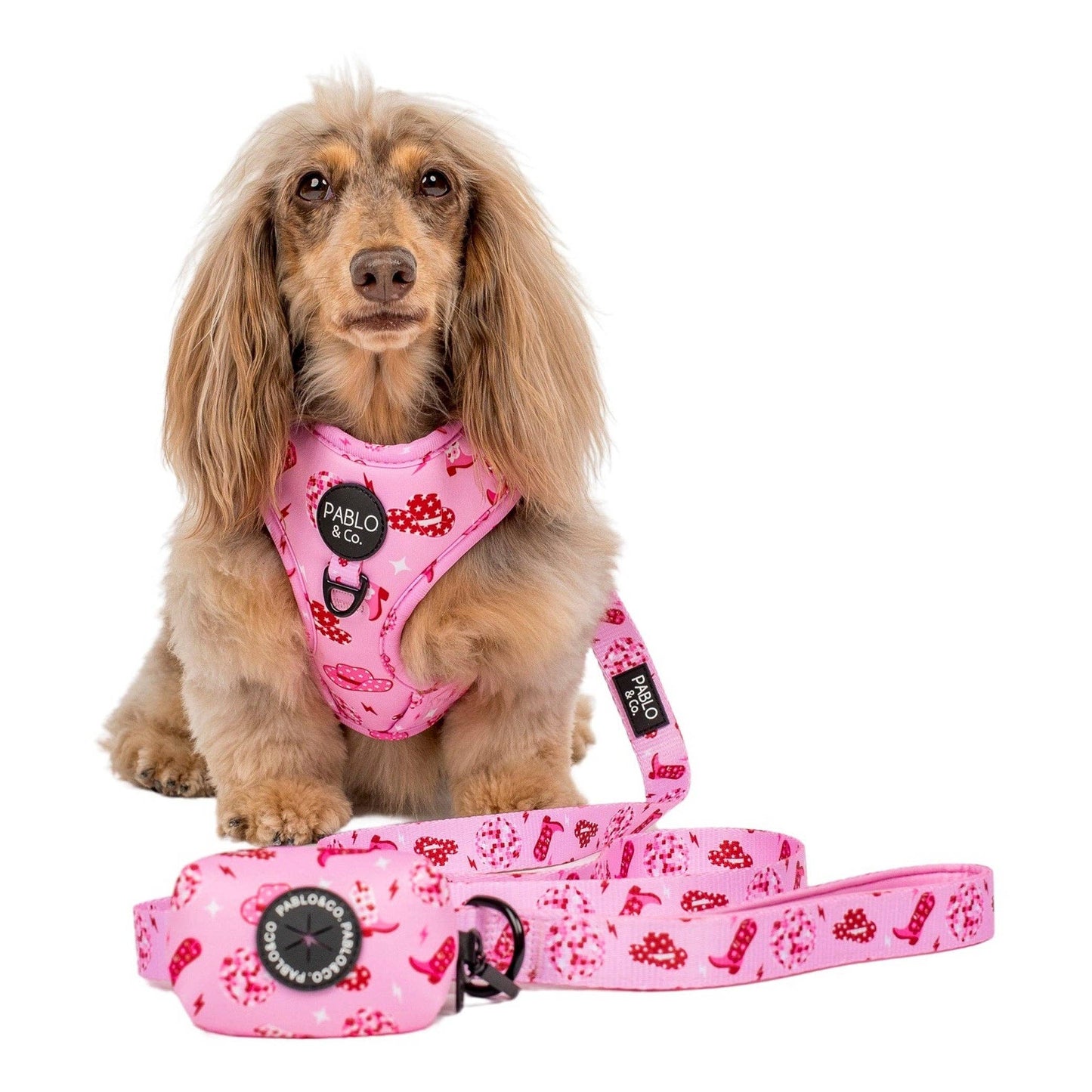 Disco Cowgirl - Dog Poop Bag Holder
