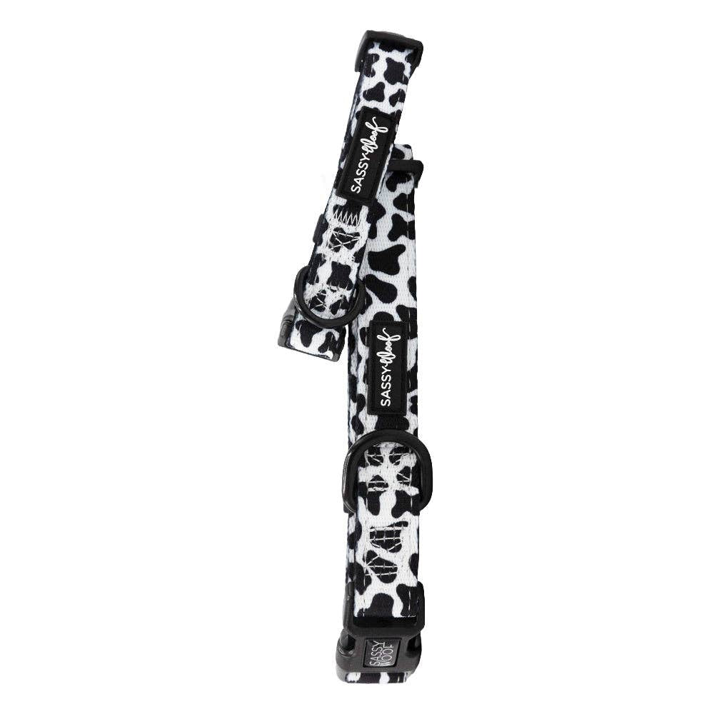 Dog Collar - Whole Milk