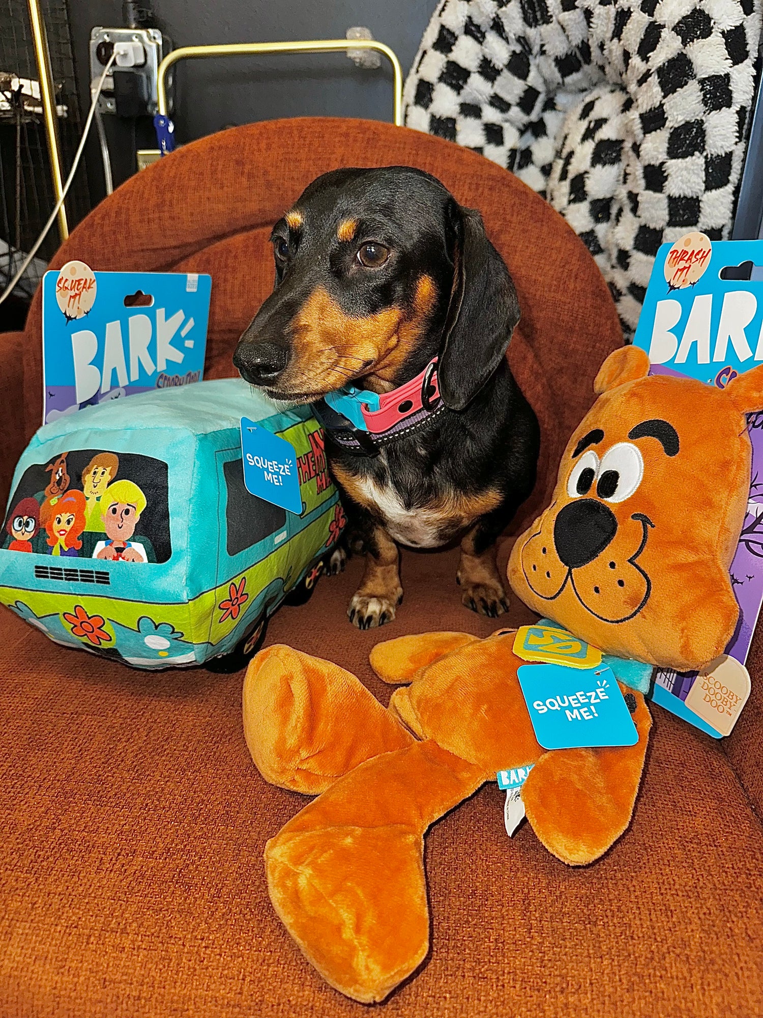 Scooby