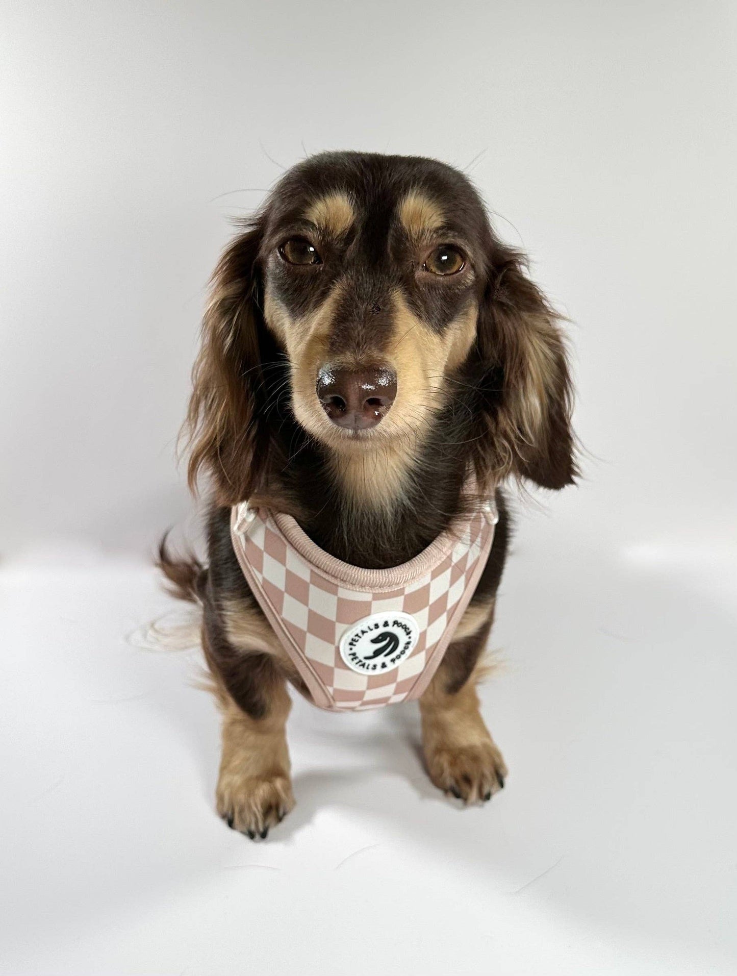 Check Me Out Adjustable Harness