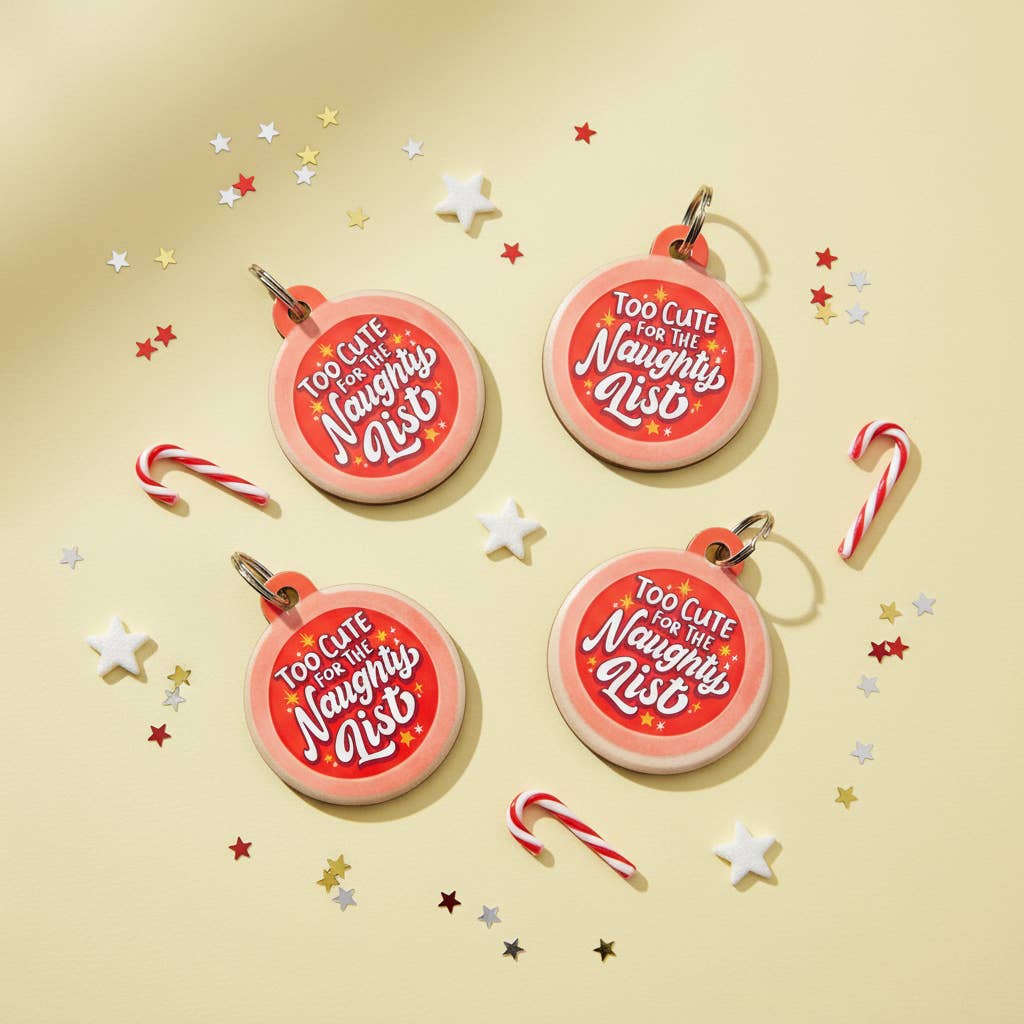 Holiday Dog Collar Charm - Too Cute for the Naughty List