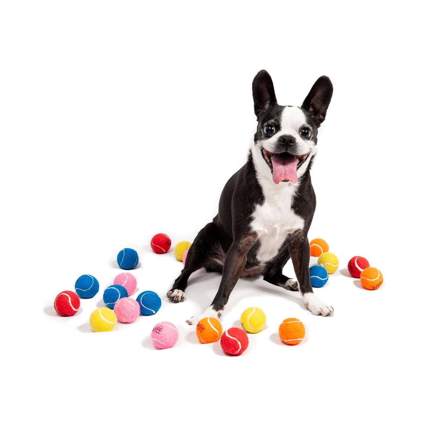 Midlee Mini Dog Tennis Balls Bulk 25-Pack (Assorted Colors)