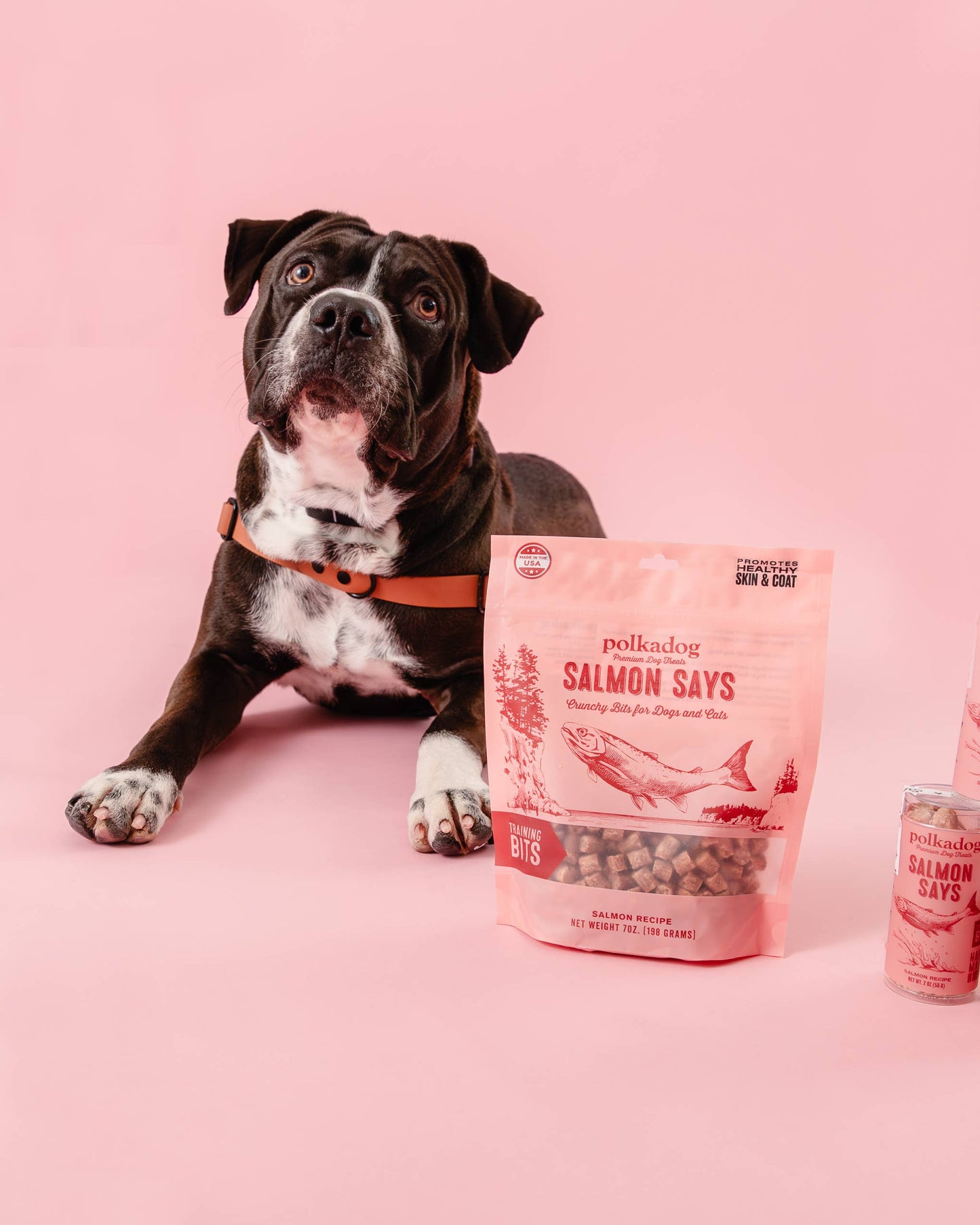 Salmon Says Training Bits - 7oz - Dog & Cat Treats