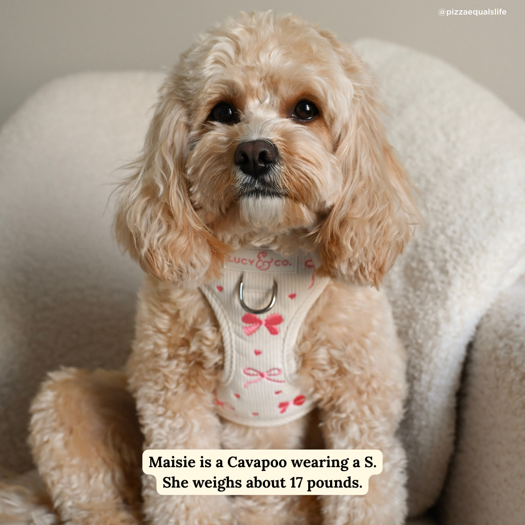 Ever So Sweet Corduroy No-Pull Harness