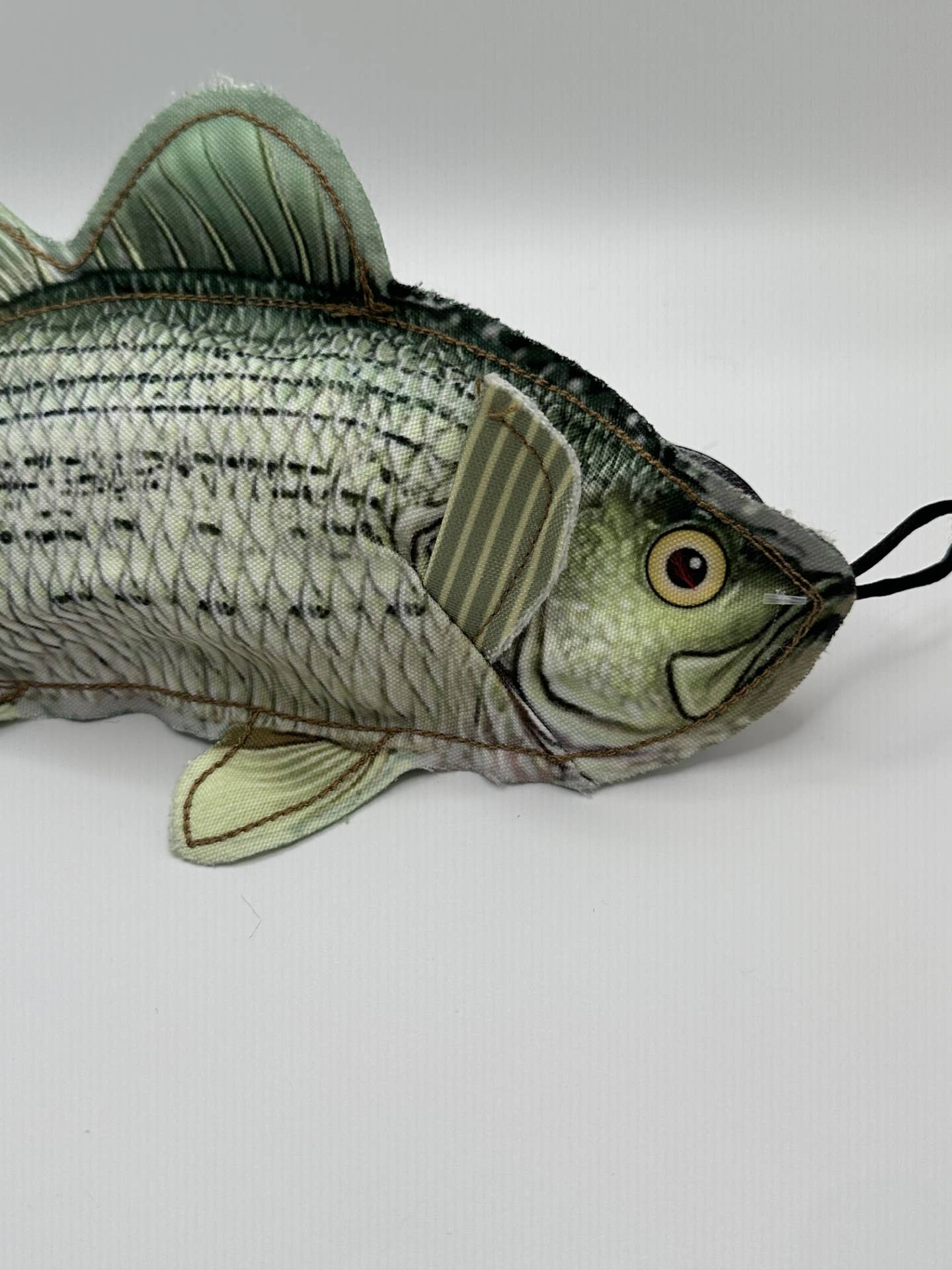 Denim Bass