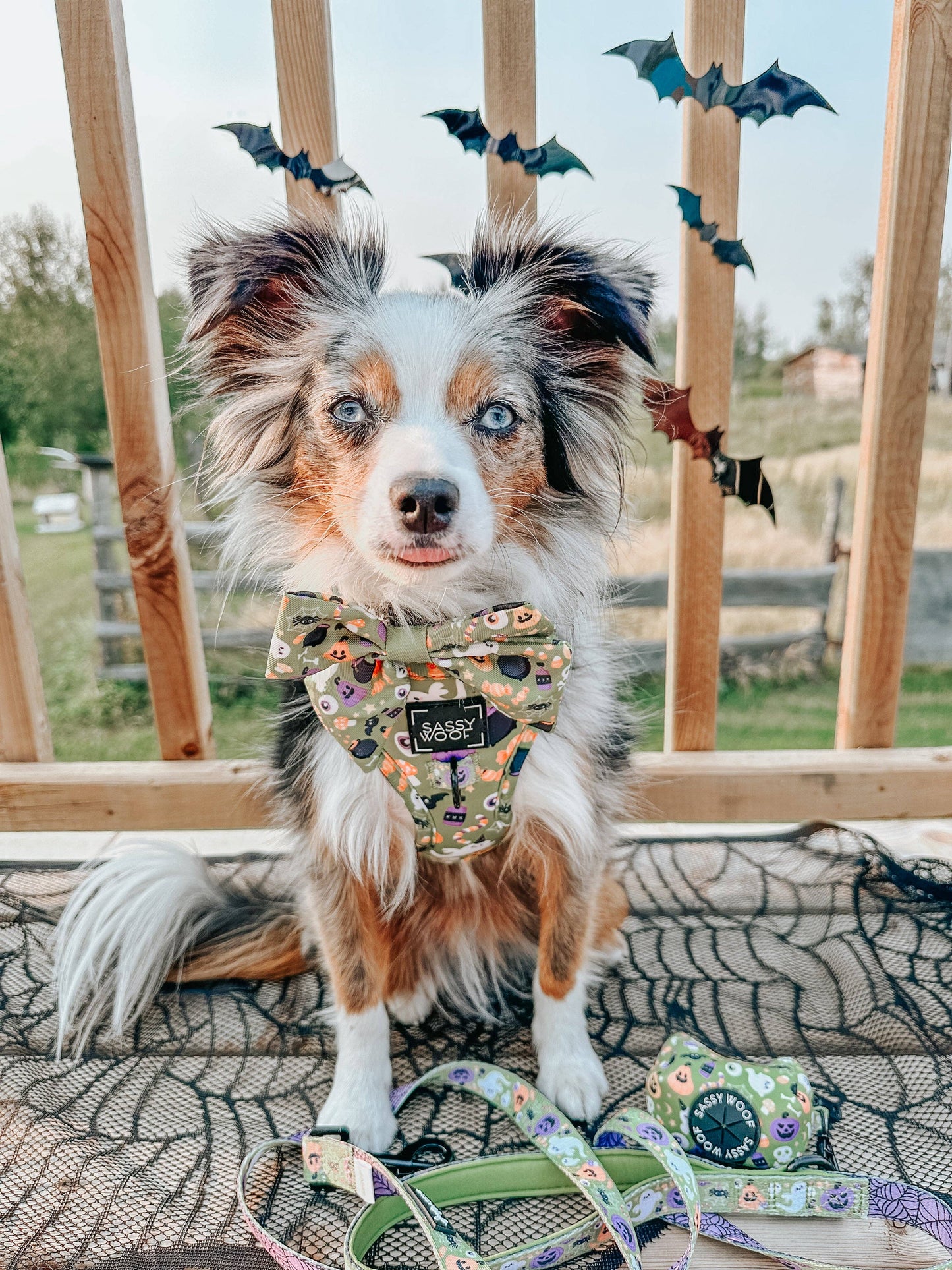 Dog Sailor Bow - Haunt Mess