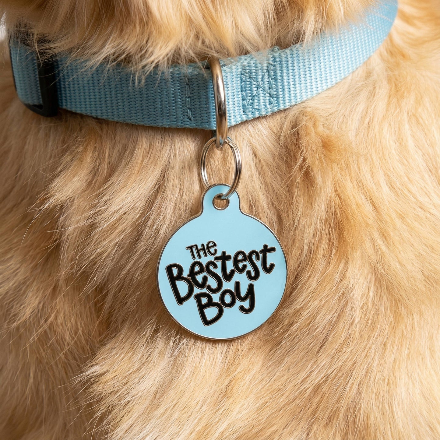 Dog Tag Collar Charm - The Bestest Boy - QR Code